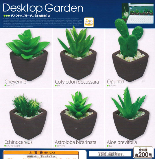 Havikoro Toy System Service Korokoro Desktop Garden Succulents 2 System Service Korokoro Desktop Garden Succulents 2 6 Kinds Set