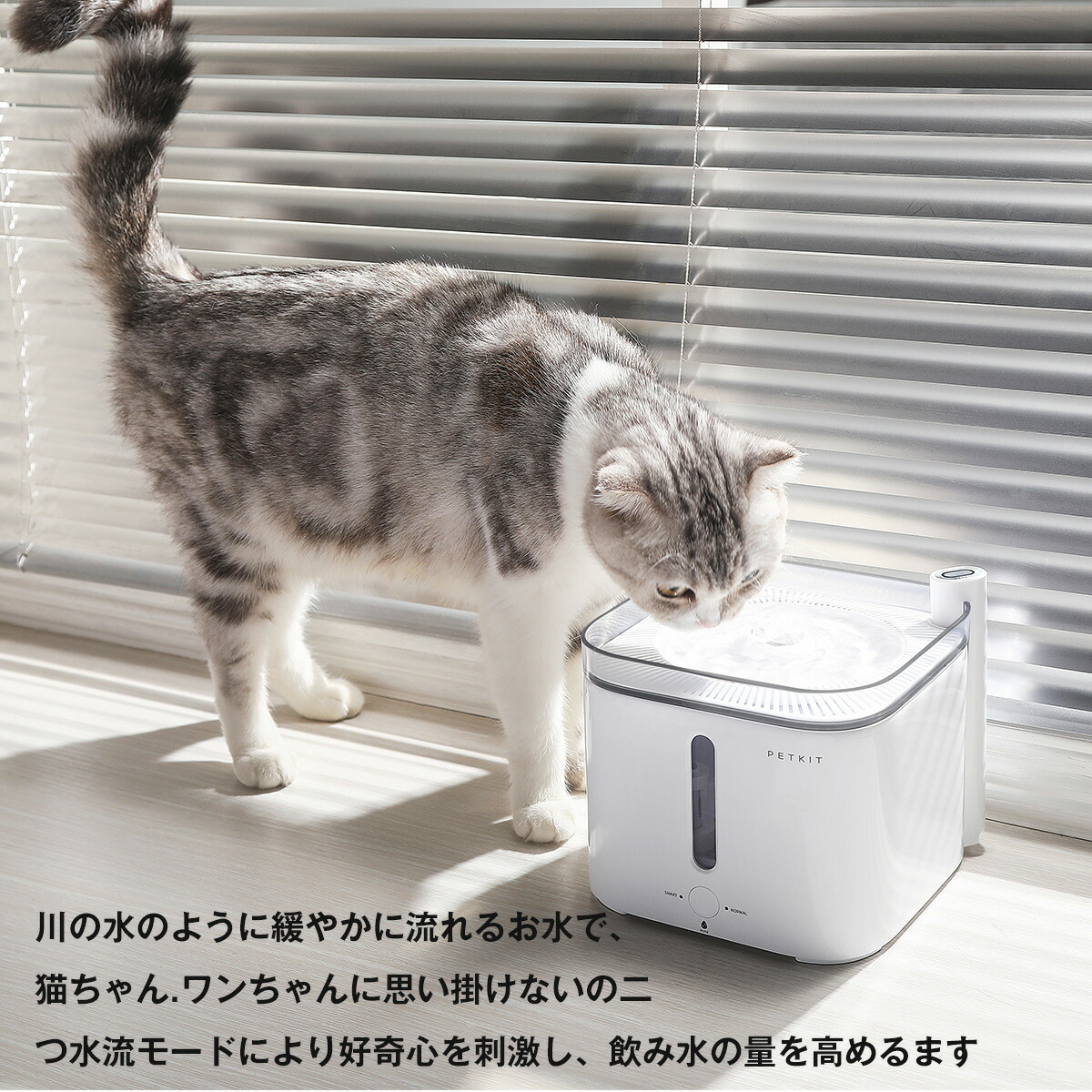 楽天市場 自動給水器 猫 犬 Petkit 安心一年保証 給水器2nd世代 2l 大容量 猫 水飲みきれいな水 猫 みずのみ 自動 給水機 循環式 自動 水やり機 静音 フィルター付き 日本語説明書付き Havisele楽天市場店