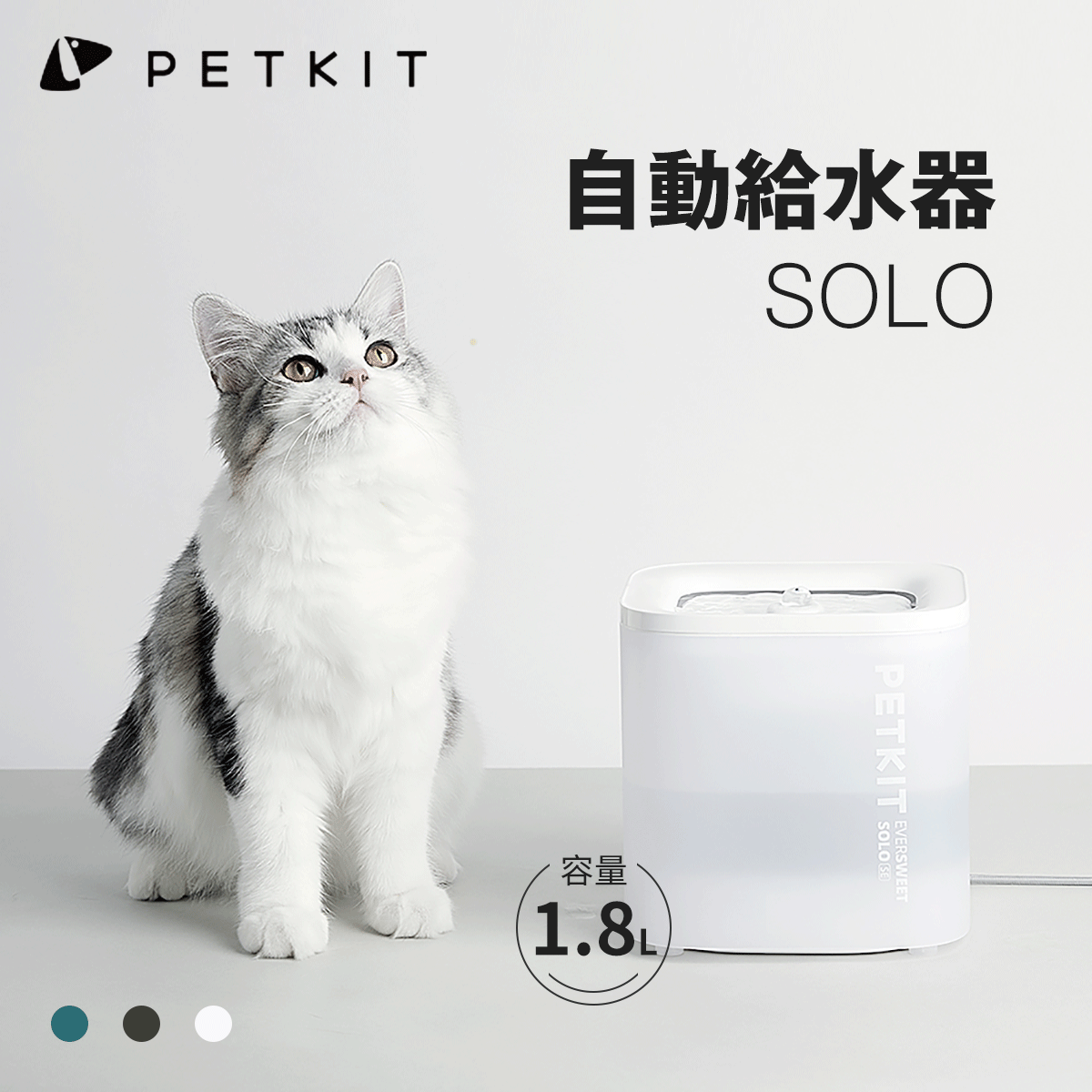 楽天市場】【300円OFFクーポンあり】PETKIT 自動給水器 猫 犬 給水器