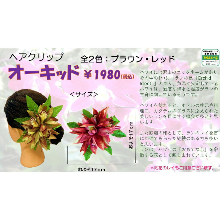 市場 シンビジュウム オーキッド ヘアクリップ フラガール必見 ブラウン ハワイアンレイ