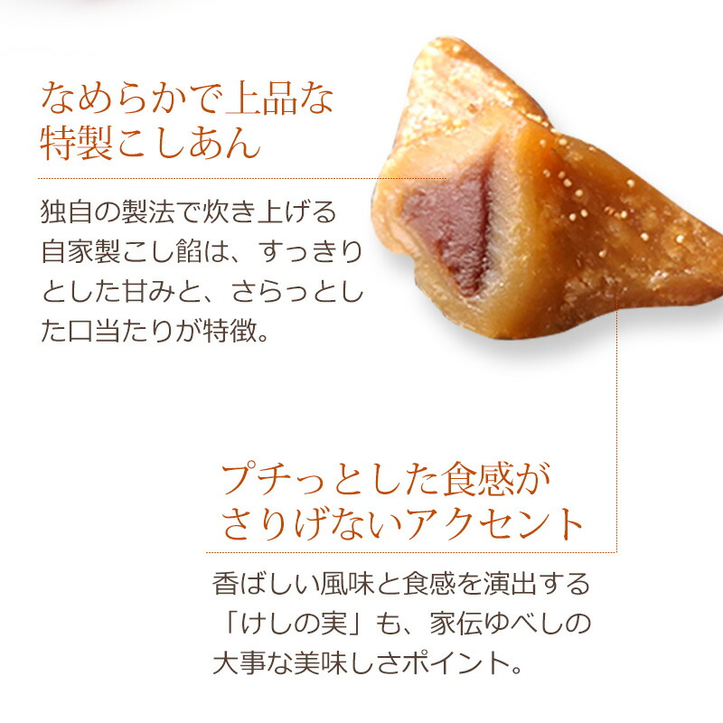 家伝ゆべし(10個入)かんのや【ふくしまプライド対象商品】