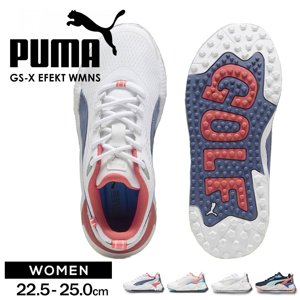 puma-309771.jpg