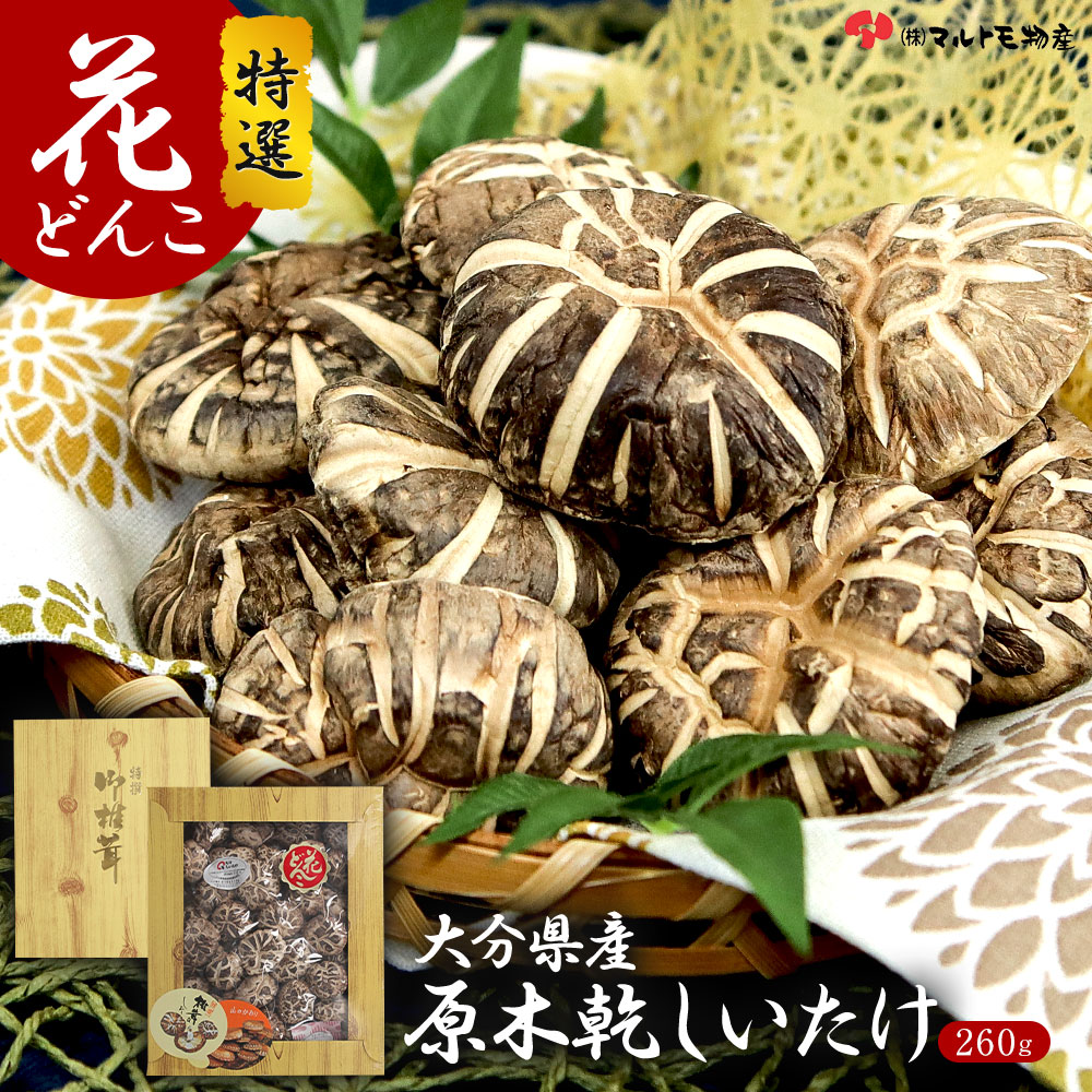 大分県産 原木椎茸 ギフト 花どんこ 260g 国産 御椎茸 しいたけ 椎茸 どんこ 乾しいたけ 乾椎茸 干ししいたけ 干し椎茸 シイタケ 大容量 肉厚 原木 原木栽培 乾燥しいたけ 乾燥椎茸 きのこ キノコ 茸
