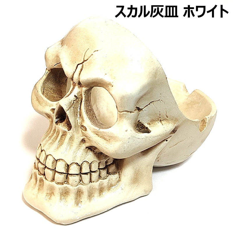 楽天市場】骸骨 ドクロ 灰皿 アシュトレイ スカル 小物入れ 白骨体 骨