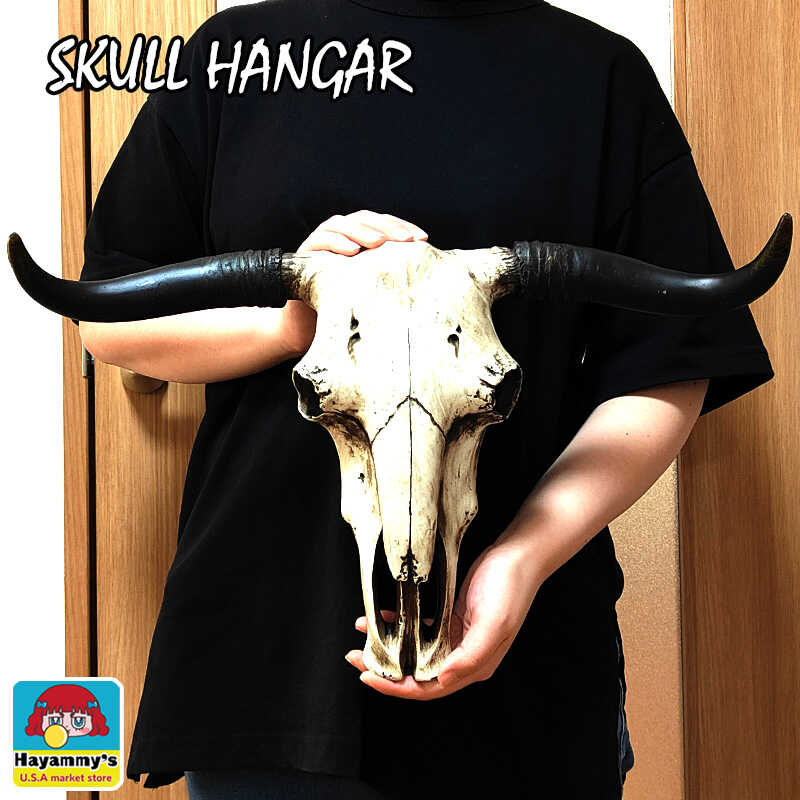 楽天市場】壁掛けオブジェ ロングホーン ブル スカル ヘッド オブジェ