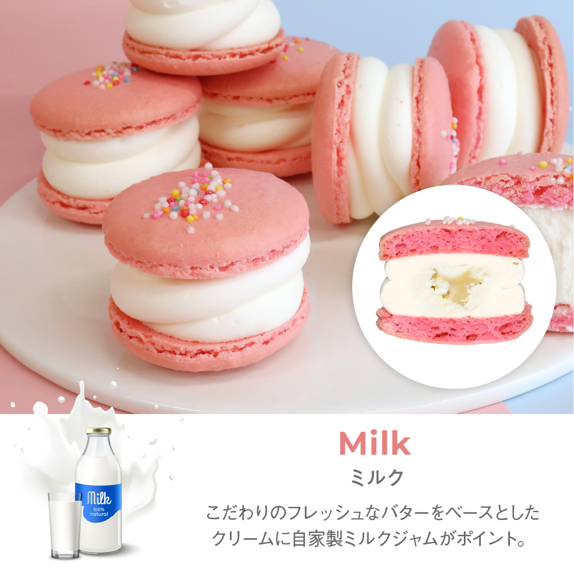 太っちょマカロン Macapresso オールスター12個セット マカプレッソ トゥンカロン マカロン Macaron 韓国 スイーツ デザート プレゼント ギフト