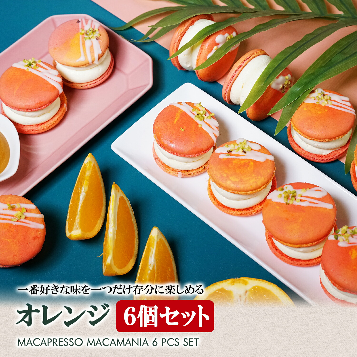 楽天市場 太っちょマカロン Macapresso マカマニア オレンジ 6個セット マカプレッソ トゥンカロン マカロン Macaron 韓国 スイーツ プレゼント ギフト Macapresso 楽天市場店