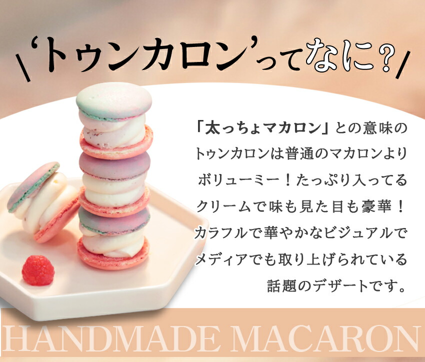 市場 太っちょマカロン リアルチョコ トゥンカロン MACAPRESSO マカマニア 6個セット マカプレッソ