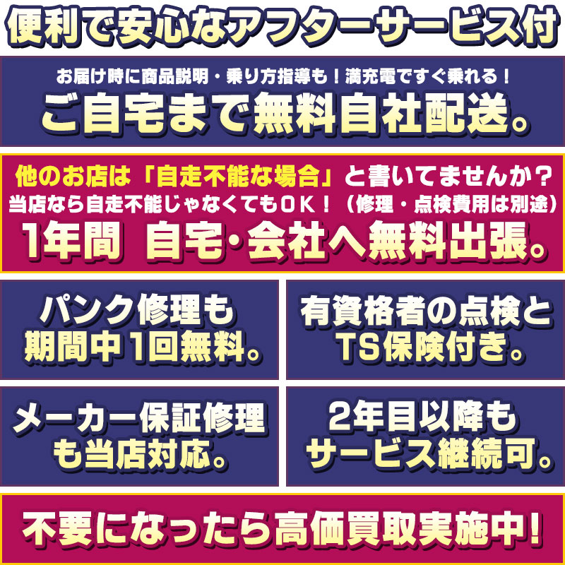 関東 地域限定販売 Bikke 送料無料 ビビsx パナソニック Panasonic ビビ Sx 電動自転車 関東 電動アシスト自転車 Un Be Elsx632 ホッと安心パック ハヤサカサイクル店8 0ah 使いやすさに配慮したビビシリーズお買得モデル