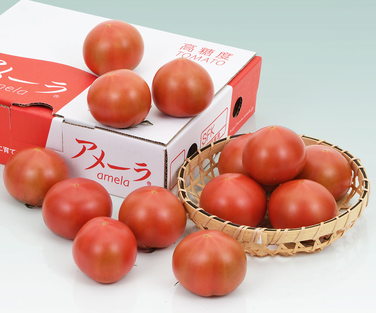 k2ケース　アメーラトマト　自信あります 高糖度　フルーツトマト　品質鮮度抜群！