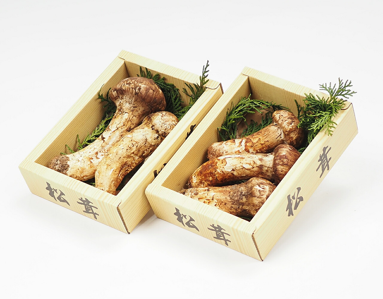 【中国産 松茸 2パック 約200g 林フルーツ】御祝 快気祝 御礼 お見舞い 粗品 内祝 出産祝い お供 志 誕生日 季節の野菜 旬 送料無料 |林フルーツ 支店