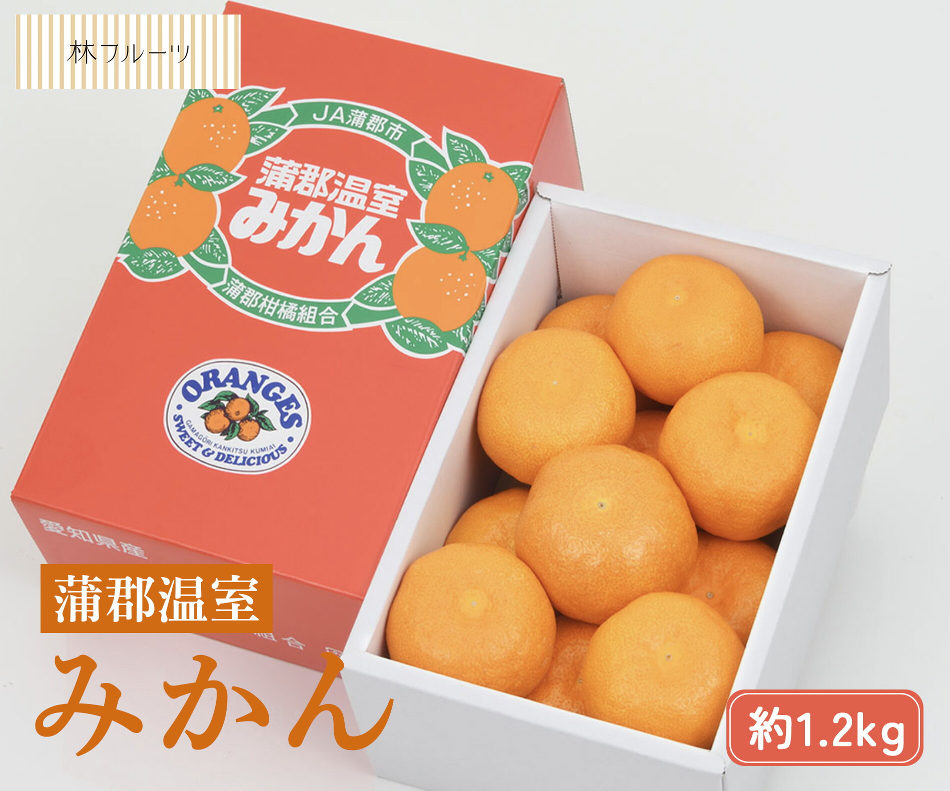【愛知県産 蒲郡ハウスみかん 秀品 化粧箱 約1.2kg 林フルーツ】<br>御祝 快気祝 御礼 お見舞い 粗品 内祝 出産祝い お供 志 誕生日 季節の果物 旬 くだもの <br>