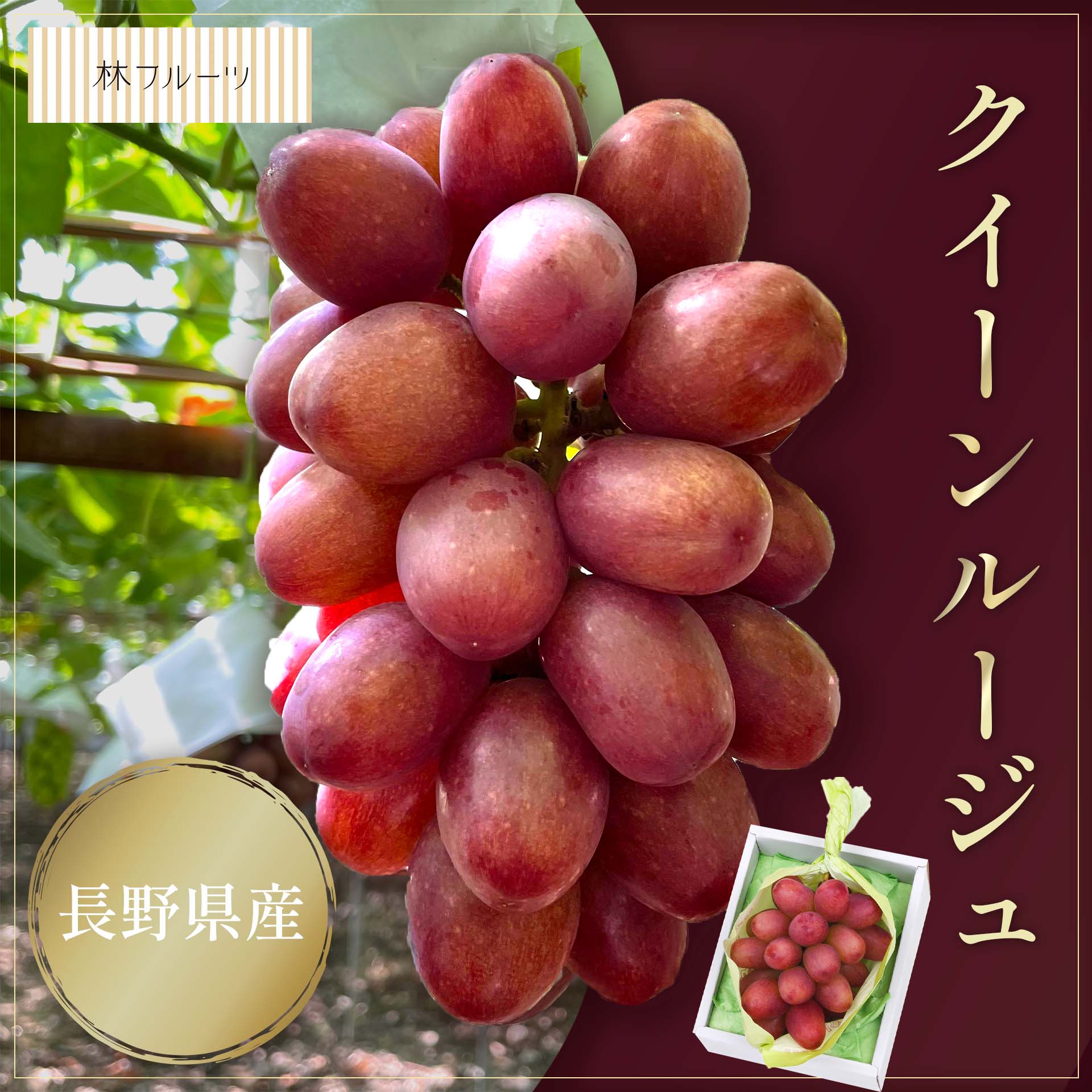 信州産クイーンルージュ 楽天市場】【長野県産 クイーンルージュ 1房 約550g 林フルーツ】御祝