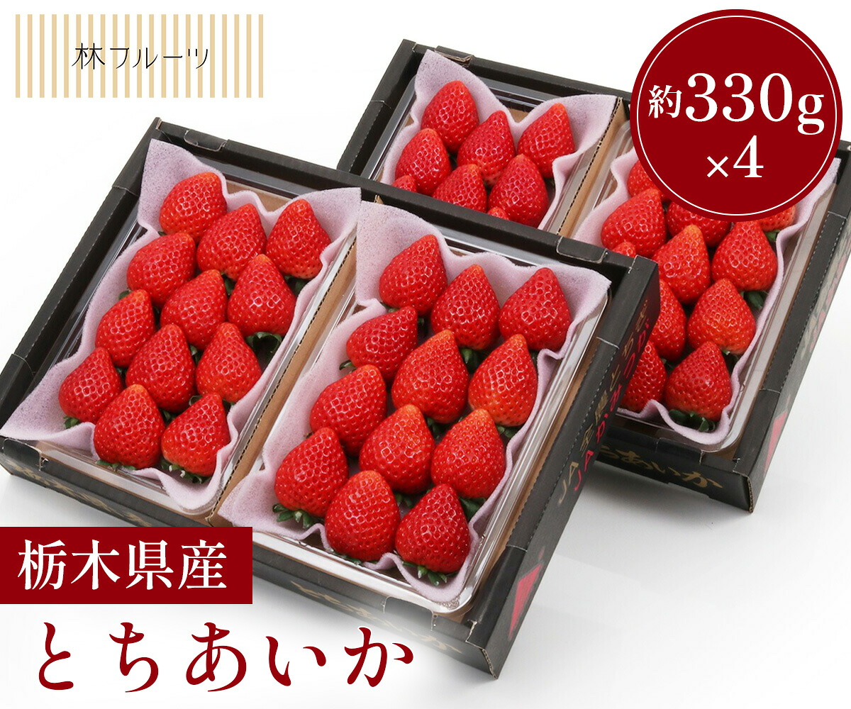 【栃木県産 とちあいか苺 (12粒～15粒) 約330g×4 林フルーツ】 御祝 快気祝 御礼 お見舞い 粗品 内祝 出産祝い お供 志 誕生日 季節の果物 旬 くだもの
