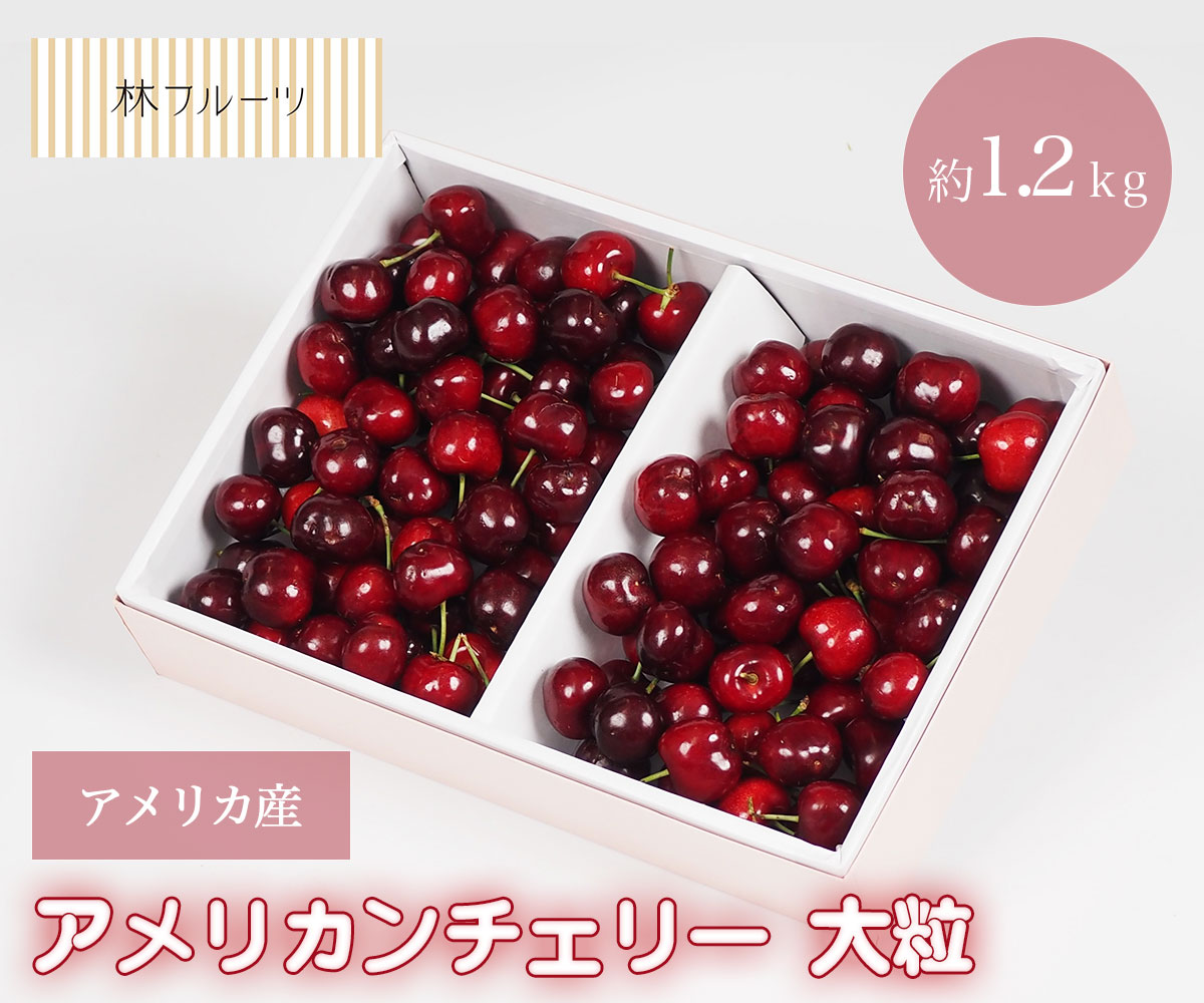 レーニアチェリー&アメリカンチェリー 楽天市場】＜Gee Whiz＞ 超限定品 レイニアチェリー 大粒 10R
