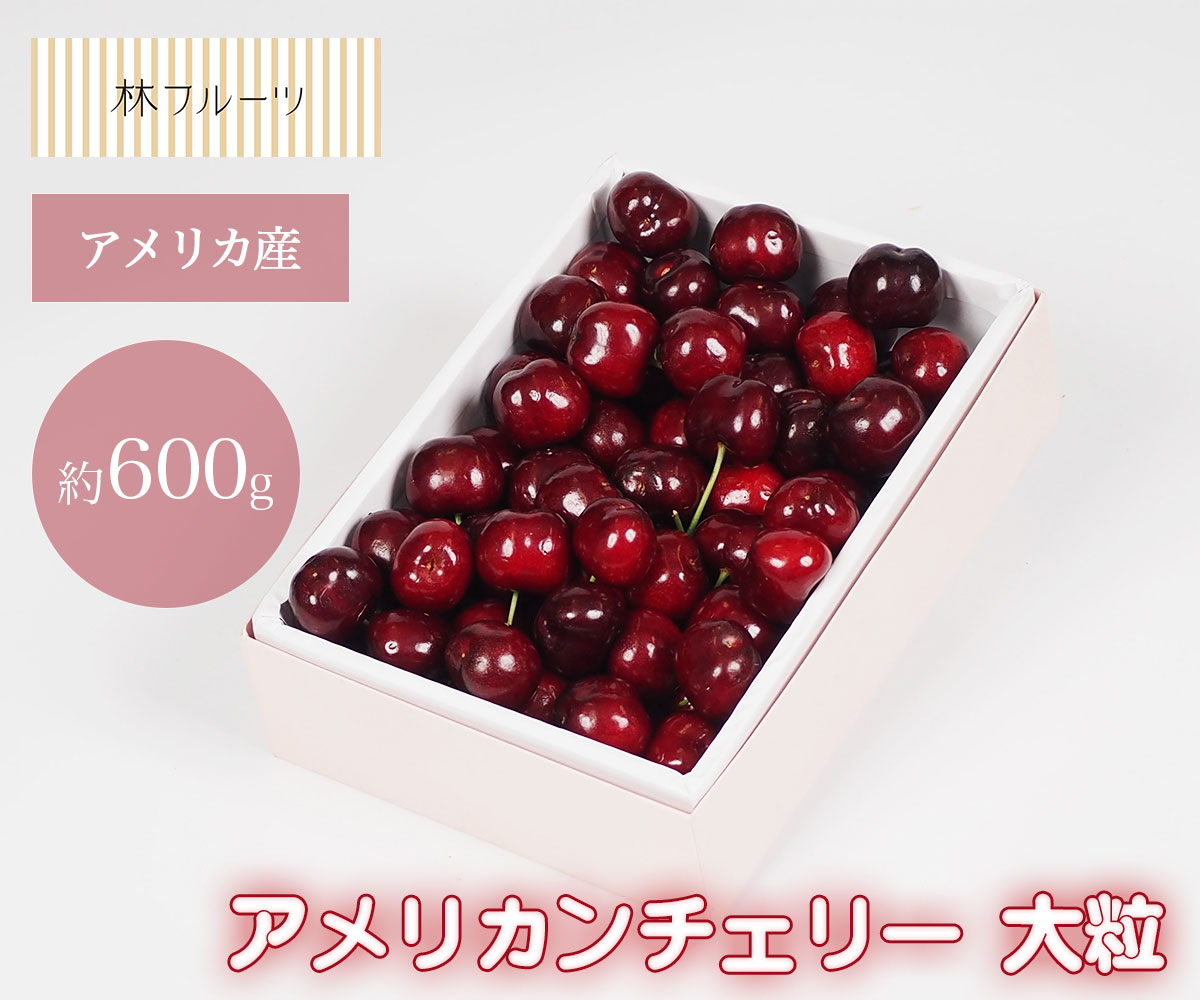 【 アメリカ産 アメリカンンチェリー 大粒 約600g 林フルーツ】<br>御祝 快気祝 御礼 お見舞い 粗品 内祝 出産祝い お供 志 誕生日 季節の果物 旬 くだもの 送料無料 <br>