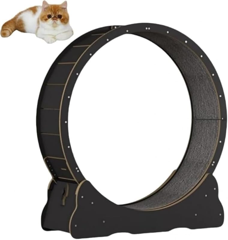 猫用キャットホイール 室内運動不足解消 猫の遊び場 ストレス発散用 回転式ホイール 安心してお選びください｜H＆B JAPAN