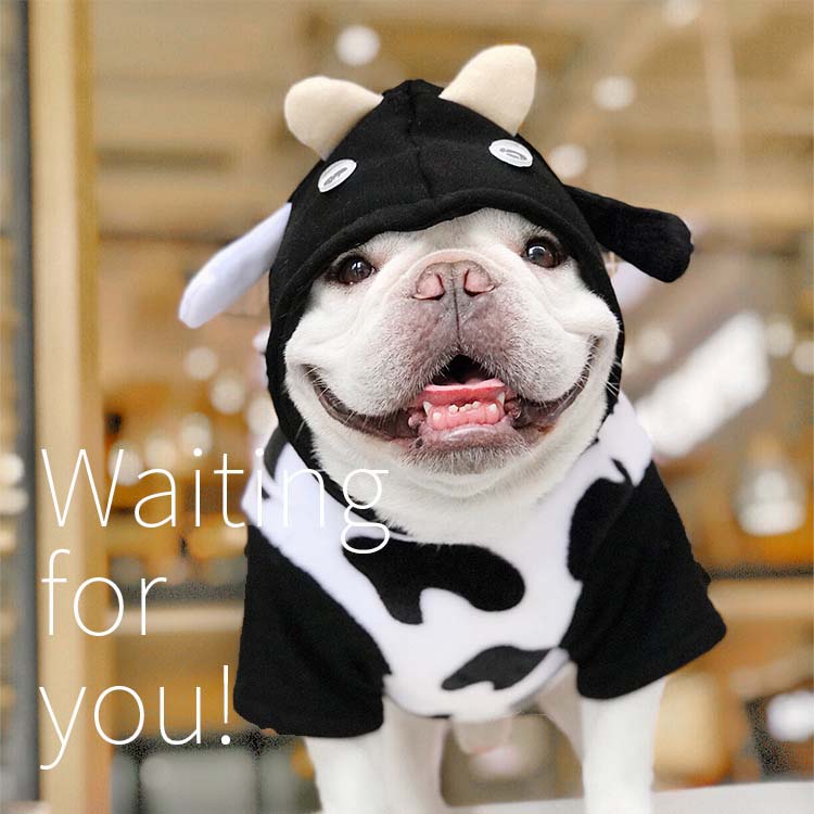 ペット服 犬の服 ドッグウェア 乳牛ドレスアップ 可愛い コスプレ衣装 ペット パーカー 小型犬 中型犬 衣装 変身 トレーナー 犬 服 コスチューム 仮装 帽子付き 秋服 冬服 防寒 洋服 可愛い 犬用品 ドッグパーカー プレゼント Educaps Com Br