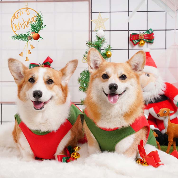 ドッグウェア 犬の服 コスプレ クリスマス サンタマント ペット用品 サンタクロース コスチューム 犬服 仮装 クリスマスマント 柴犬 可愛い 洋服 犬 ベスト パーカー 防寒 保温 衣装 ペットベスト 冬服 犬用品 小型犬 中型犬 クリスマスコスプレ 21新作 Educaps Com Br