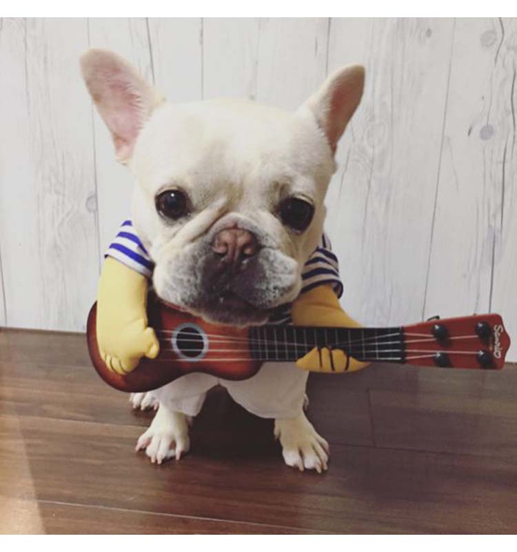 犬服 コスチューム コスプレ ペット用品 ギター パグ 犬 服 ブルドッグ 変身 着ぐるみ ドッグウエア 小型犬 秋服 2足歩行 犬パーカー 春服 冬服 超可愛い トレーナー 犬の服 ペットウエア 記念撮影 ハロウィン 仮装 Giosenglish Com