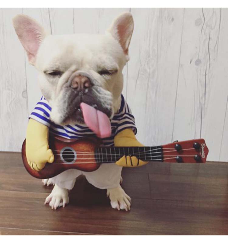 犬服 コスチューム コスプレ ペット用品 ギター パグ 犬 服 ブルドッグ 変身 着ぐるみ ドッグウエア 小型犬 秋服 2足歩行 犬パーカー 春服 冬服 超可愛い トレーナー 犬の服 ペットウエア 記念撮影 ハロウィン 仮装 Kermobile Com