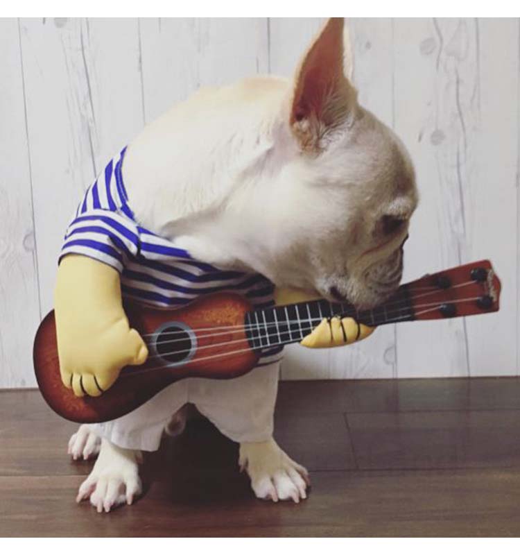 犬服 コスチューム コスプレ ペット用品 ギター パグ 犬 服 ブルドッグ 変身 着ぐるみ ドッグウエア 小型犬 秋服 2足歩行 犬パーカー 春服 冬服 超可愛い トレーナー 犬の服 ペットウエア 記念撮影 ハロウィン 仮装 Giosenglish Com