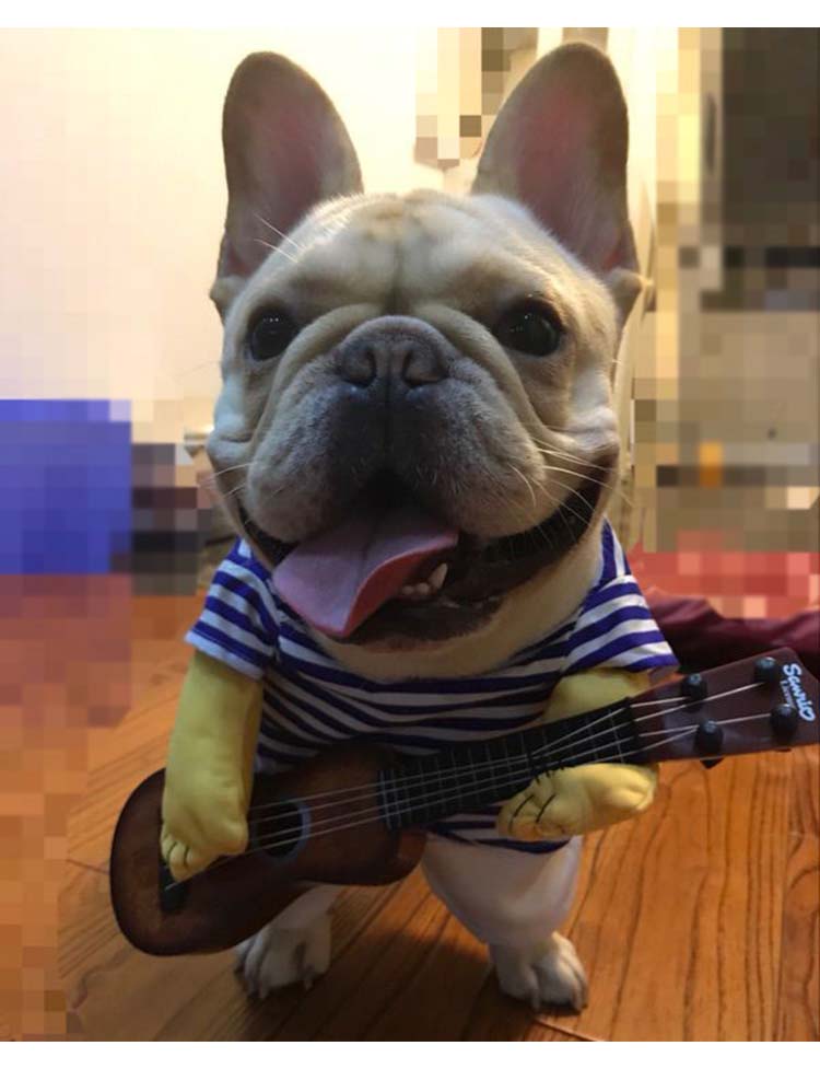 犬服 コスチューム コスプレ ペット用品 ギター パグ 犬 服 ブルドッグ 変身 着ぐるみ ドッグウエア 小型犬 秋服 2足歩行 犬パーカー 春服 冬服 超可愛い トレーナー 犬の服 ペットウエア 記念撮影 ハロウィン 仮装 Kermobile Com