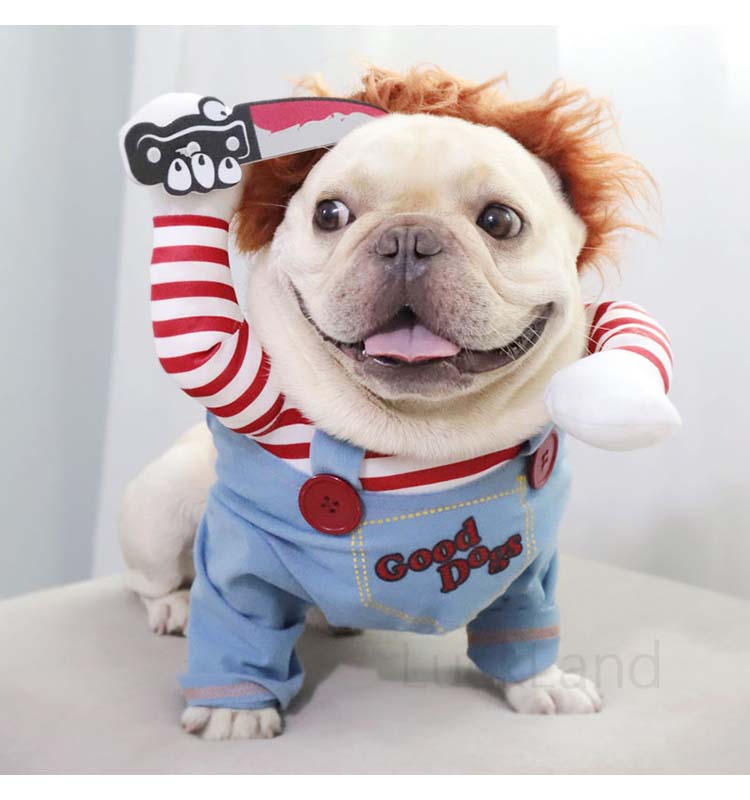 ドッグべべ 舞台衣裳 唐人笛エクィップメント 諜者 ねんねこ パーカー ペットべべ コスプレ 偽装 犬のおべべ コスプレ衣装 ハロウィン ペット用品 犬服 ペット服 犬ウェア 壱ちゃん 2お銭歩き 好い 小型犬 犬コスプレ プリンタン服 三冬服 変身 参着ぐるみ 猫 キャット