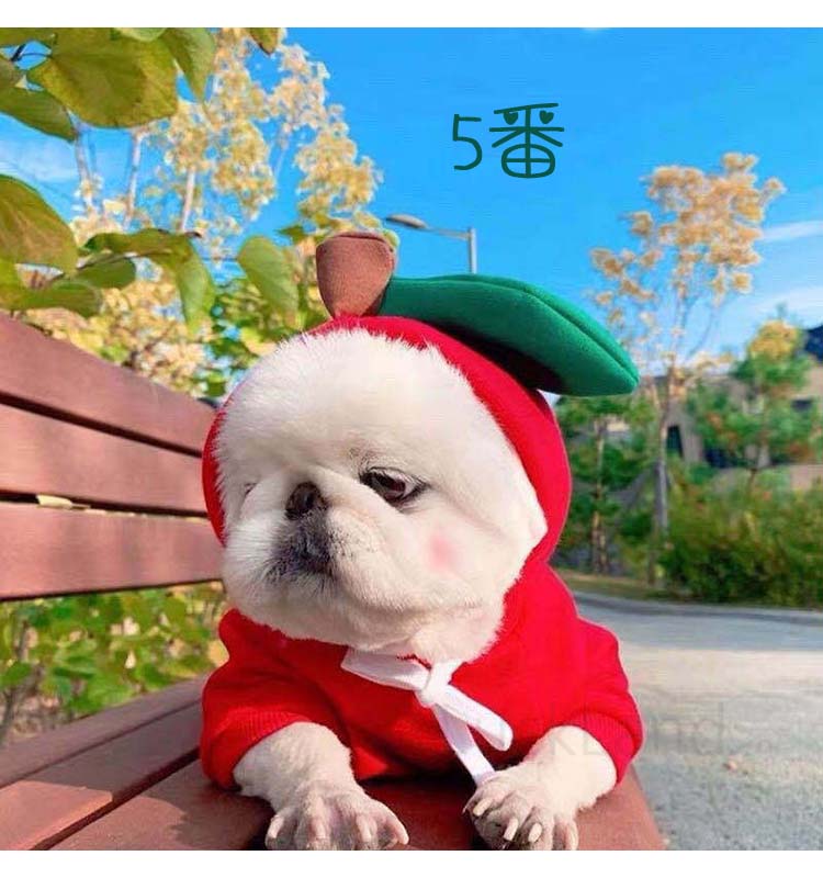 ドレスアップ コスプレ 犬服 猫服 コスチューム ペット マント キャットウェア ネコ服 犬猫用品 犬 猫 パーカー 仮装 帽子付き 犬の服 猫の服 小型犬 中型犬 洋服 防寒 ペットコート 厚手 変身 トレーナー 秋服 冬服 動物服 フード付き ネコマント ペットウェア