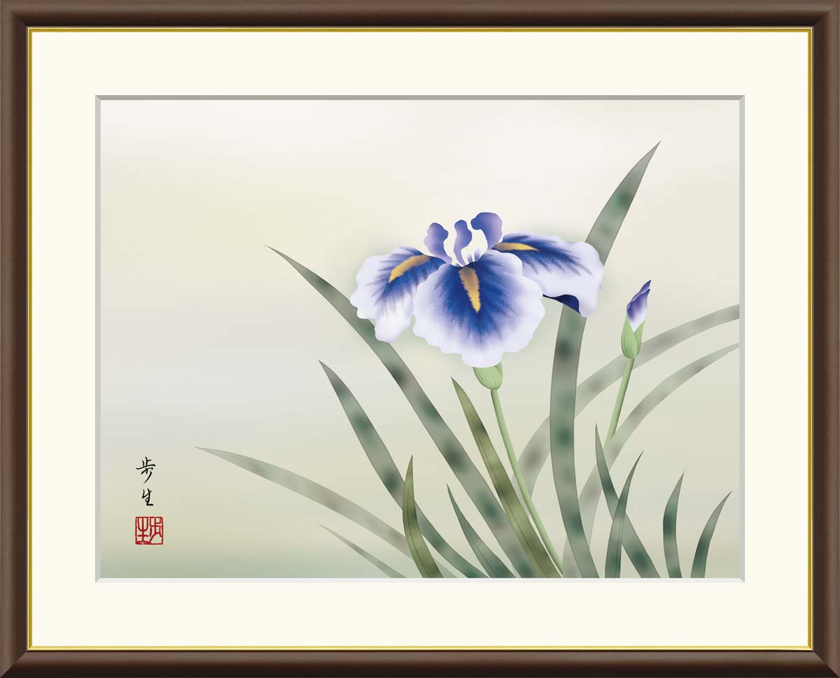 花鳥画 夏飾り 菖蒲 北山歩生 F4サイズ 額装込 J4-B026 日本画 アート額絵 高精細巧芸画