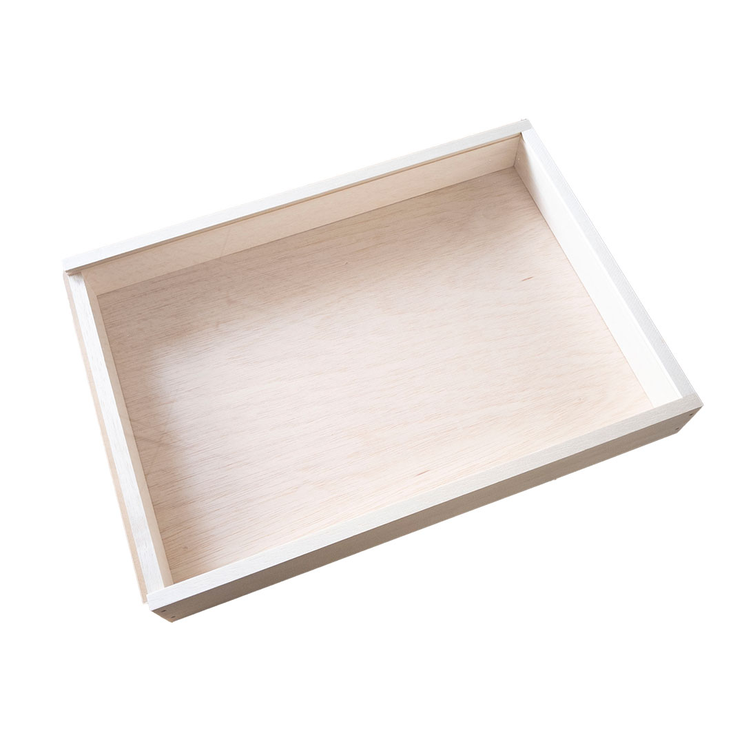 楽天市場】完成品 標本箱中 幅307×奥行219×高さ60mm