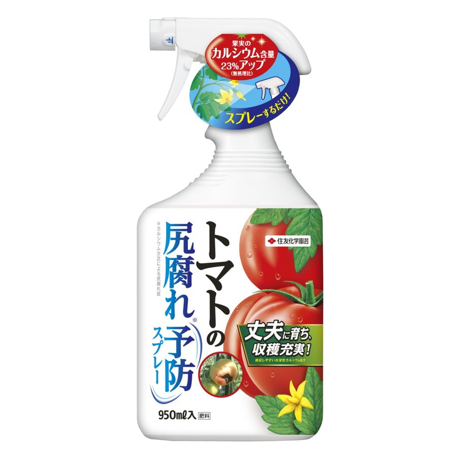 imgrc0071215818.jpg