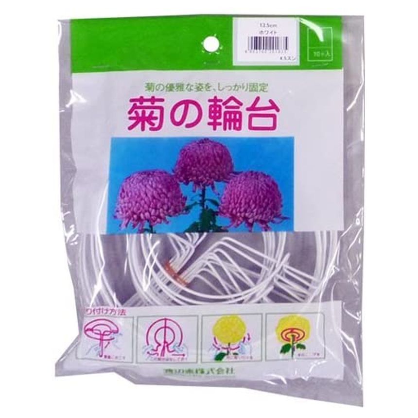 渡辺泰 菊の輪台 白 10個入 13.5cm 【91%OFF!】