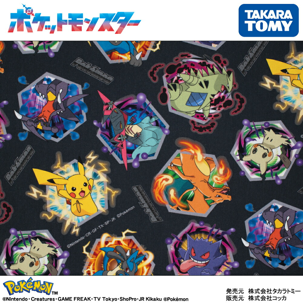 楽天市場】ポケモン バトル柄 オックス生地 ピカチュウ リザードン