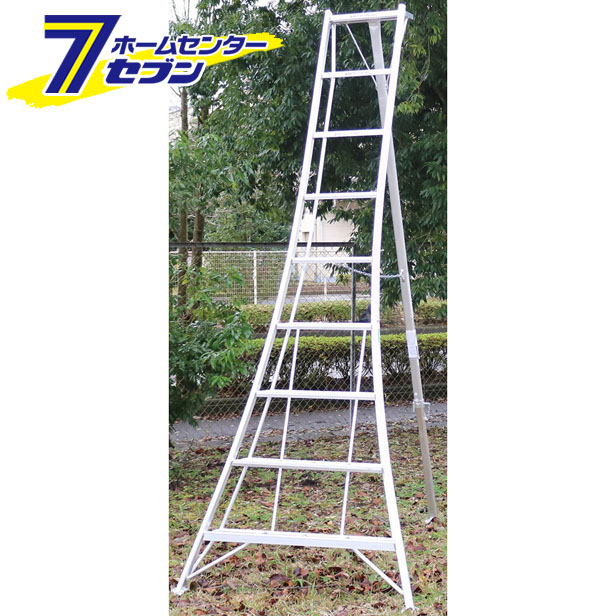 剪定梯子 アルミ製 9段 約2700 4969182236033.jpg