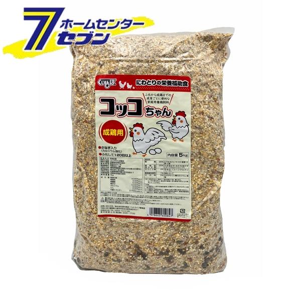 楽天市場】CHICK FOOD ヒヨコの餌D-8 1kg : ホームセンターセブン 楽天市場】CHICK FOOD ヒヨコの餌D-8 1kg : ホームセンターセブン
