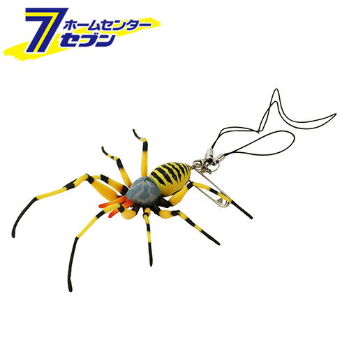 くも 4989586232035.jpg