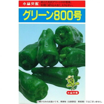 小林種苗 ピーマン種子 グリーン800号　7217　20ml【メーカー直送：代金引換不可：同梱不可】【北海道・沖縄・離島は配達不可】