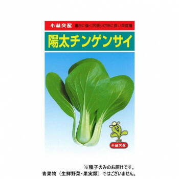 小林種苗 チンゲンサイ種子 陽太　7　2dl【メーカー直送：代金引換不可：同梱不可】【北海道・沖縄・離島は配達不可】