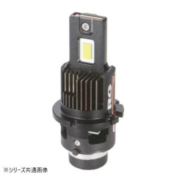 R-GEAR レーシングギア LEDHEAD SS D4S 6000K RGH-P914【メーカー直送：代金引換不可：同梱不可】【北海道・沖縄・離島は配達不可】