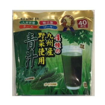 新日配 4種の九州産野菜青汁　3g×40包×10入【メーカー直送：代金引換不可：同梱不可】【北海道・沖縄・離島は配達不可】