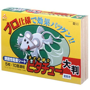 セハージャパン そ害虫駆除 ピタチュー大判 5枚入(10面連結) 3002 10セット入【メーカー直送:代金引換不可:同梱不可】【北海道・沖縄・離島は配達不可】|ホームセンターセブン
