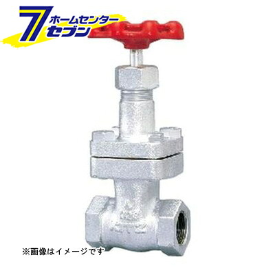 20SLS FCDゲート弁 25A （20SLS_25A） [ キッツ]