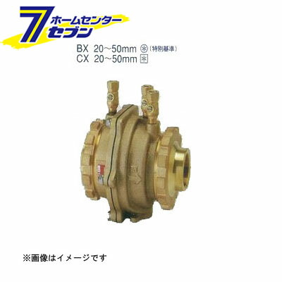 KK-CX 減圧式逆流防止器（低圧損型・本体CAC406） 20A （KK-CX_20A） [ 兼工業]