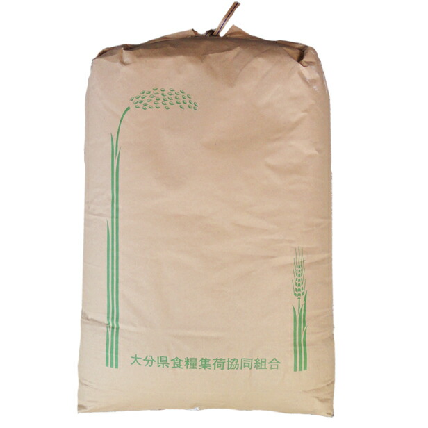 楽天市場】ヒノヒカリ 玄米 30kg 令和7年産 [九州 大分県産 ひのひかり