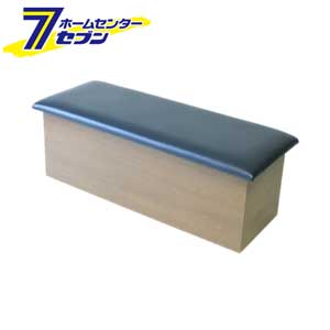 カオスー Blue Battery caos  鉄道車両乾電池