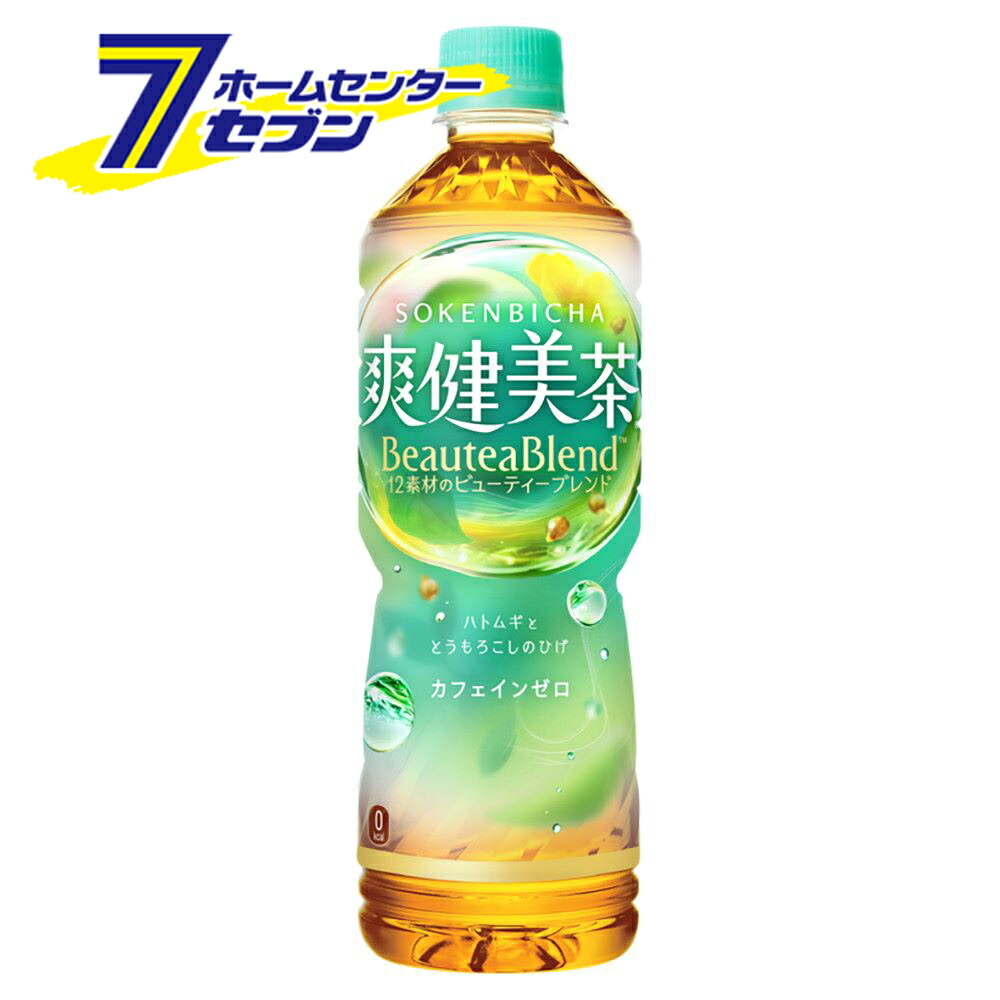コカ・コーラ 爽健美茶 PET 600ml 48本 【2ケース販売】 [お茶 お茶飲料 清涼飲料水 ソフトドリンク コーラ コカコーラ][hc8]