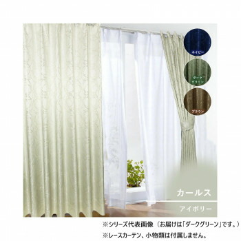 カーテン カールス 2P 100×215 ダークグリーン 725861000215038【メーカー直送：代金引換不可：同梱不可】【北海道・沖縄・離島は配達不可】 4,895円