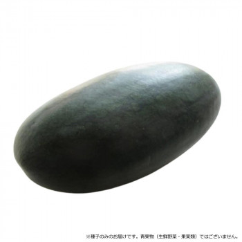 小林種苗 スイカ種子 黒い弾丸　4683　200粒【メーカー直送：代金引換不可：同梱不可】【北海道・沖縄・離島は配達不可】