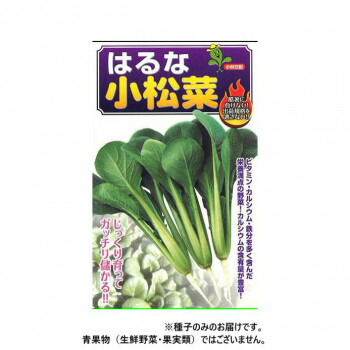 小林種苗 コマツナ種子 はるな　6　2dl【メーカー直送：代金引換不可：同梱不可】【北海道・沖縄・離島は配達不可】 4,913円